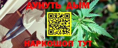 Альфа ПВП Гагарин