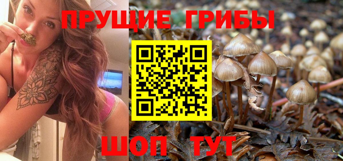 Галлюциногенные грибы Psilocybine cubensis  Вход с VPN  Мценск  Галлюциногенные грибы Psilocybine cubensis 